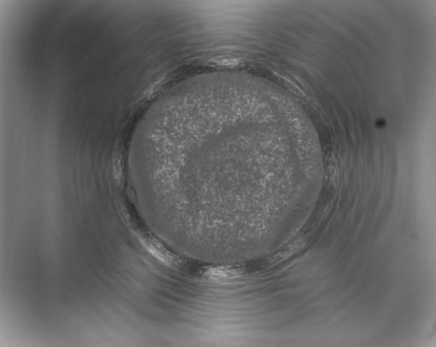 X0000074290568200609222312