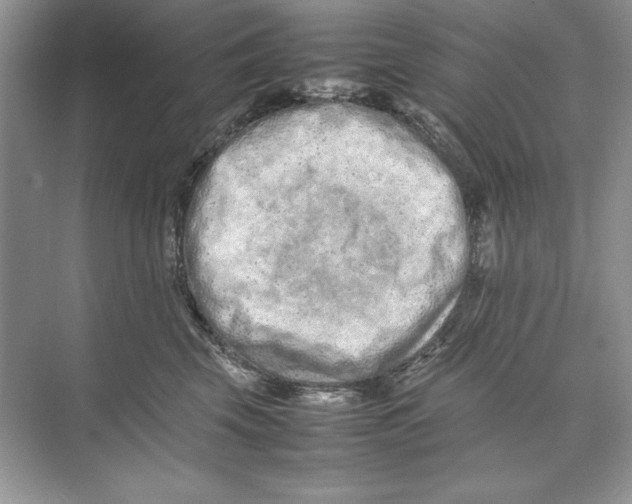 X0000074290569200609222312