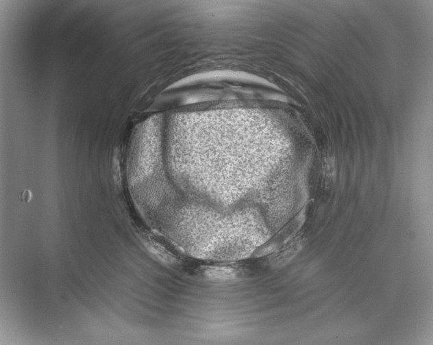 X0000074290572200609222312