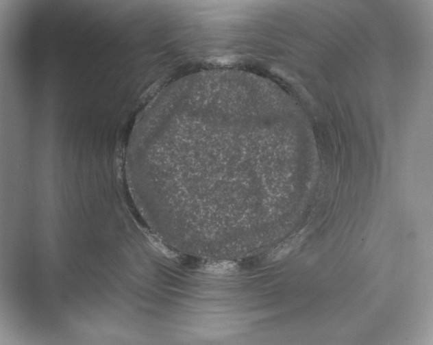 X0000074290576200609222312