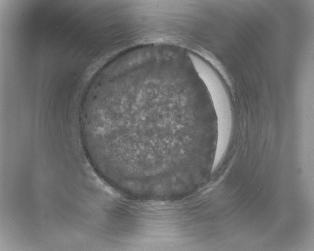 X0000074290577200609222311