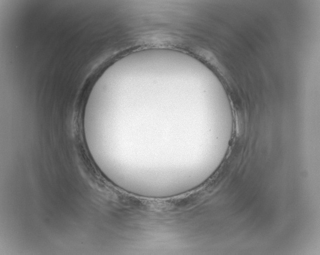 X0000074290579200609222311