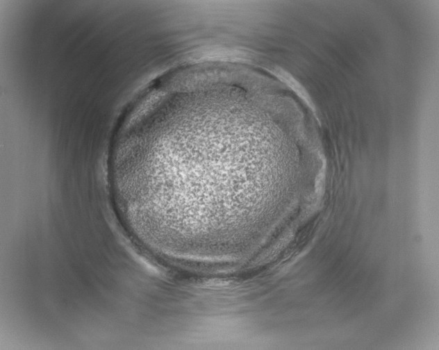 X0000074290581200609222311