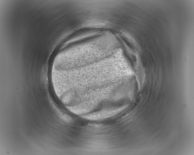 X0000074290582200609222311