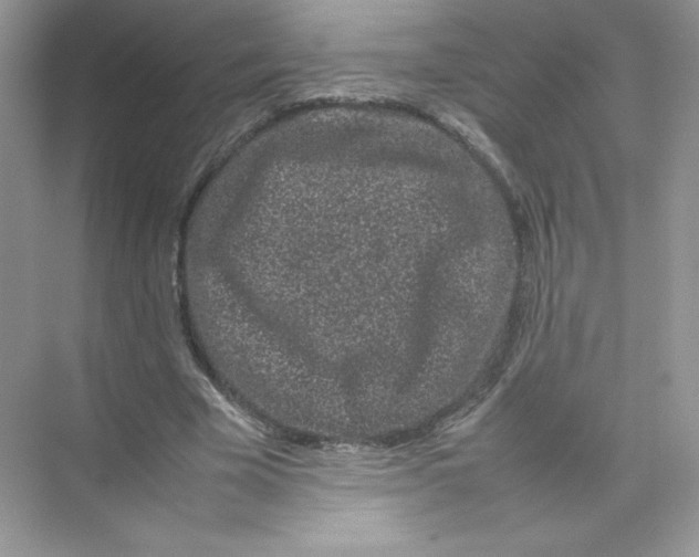 X0000074290585200609222311