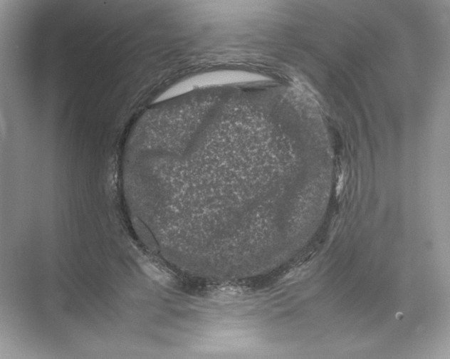 X0000074290593200609222311