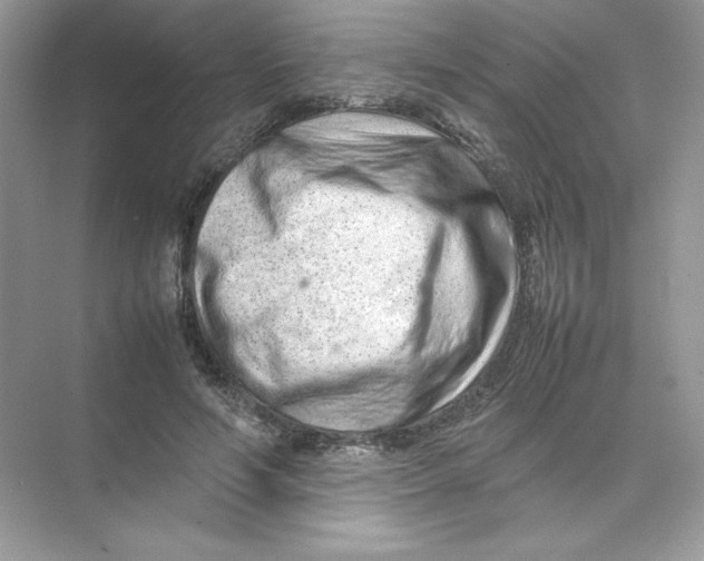 X0000074290594200609222311