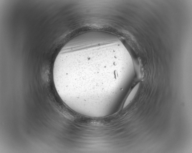 X0000074290596200609222311