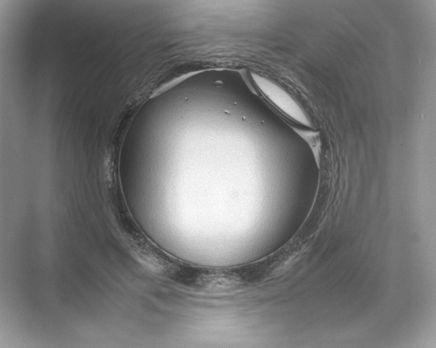 X0000074290597200609222311