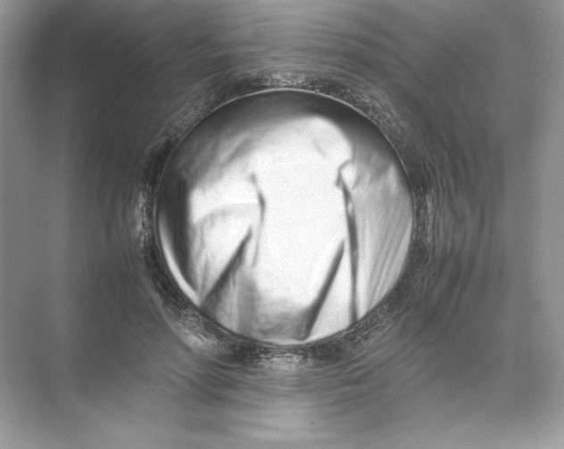 X0000074290598200609222311