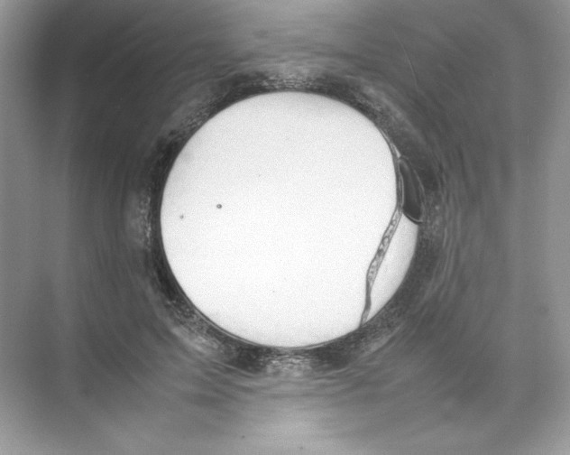 X0000074290599200609222311