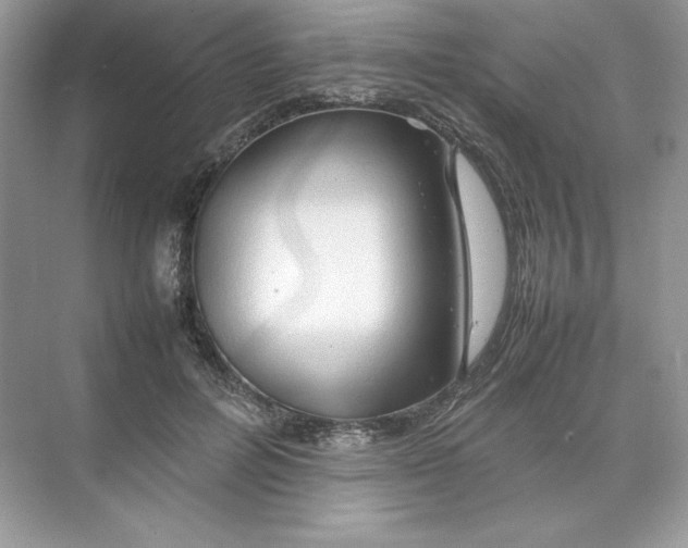 X0000074290600200609222311