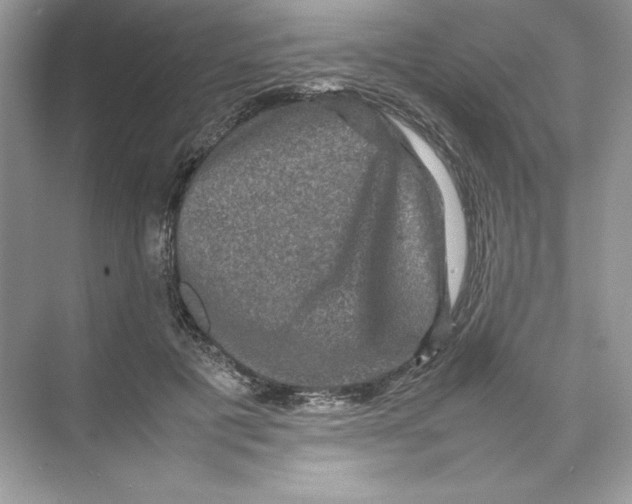 X0000074290601200609222311