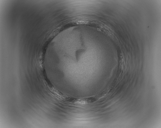 X0000074290604200609222311