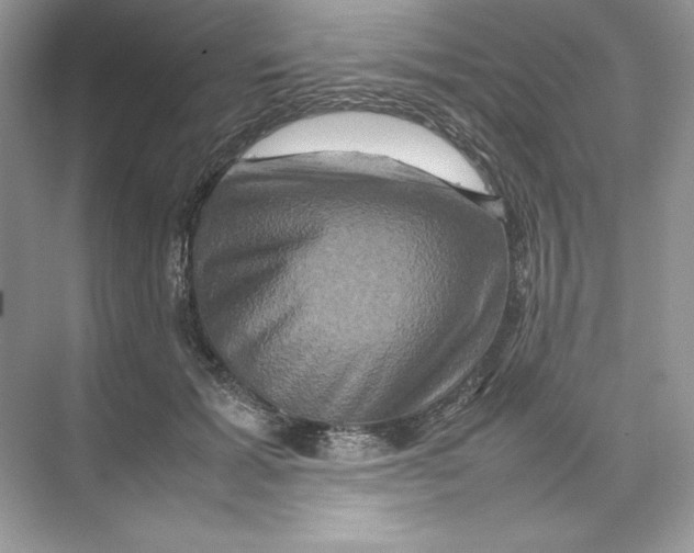 X0000074290605200609222311