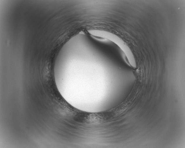 X0000074290608200609222311