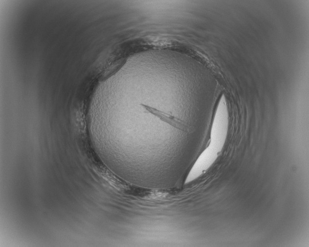 X0000074290609200609222311