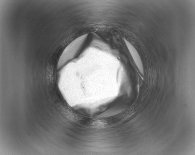 X0000074290610200609222311