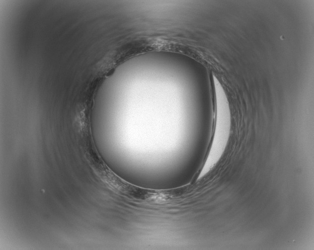 X0000074290611200609222311