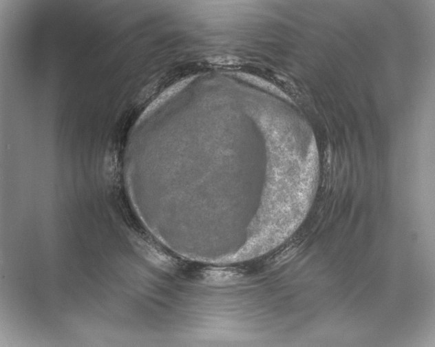 X0000074290614200609222311