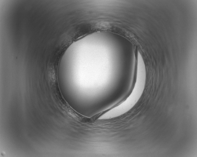 X0000074290617200609222311