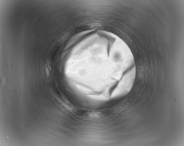 X0000074290618200609222311