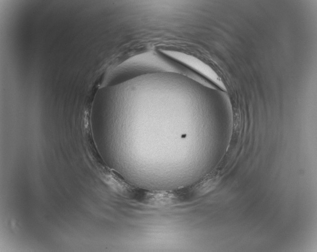 X0000074290621200609222311