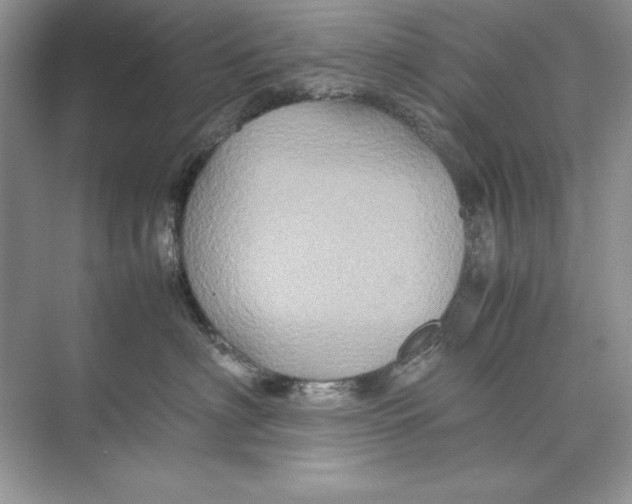 X0000074290622200609222311