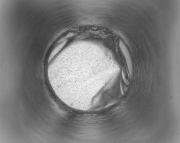 X0000074290626200609222310