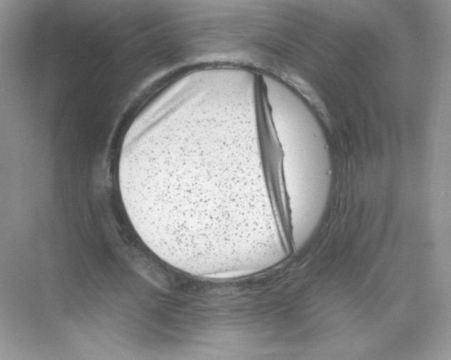 X0000074290628200609222310