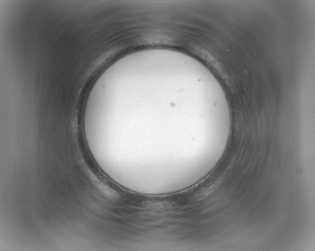 X0000074290629200609222310