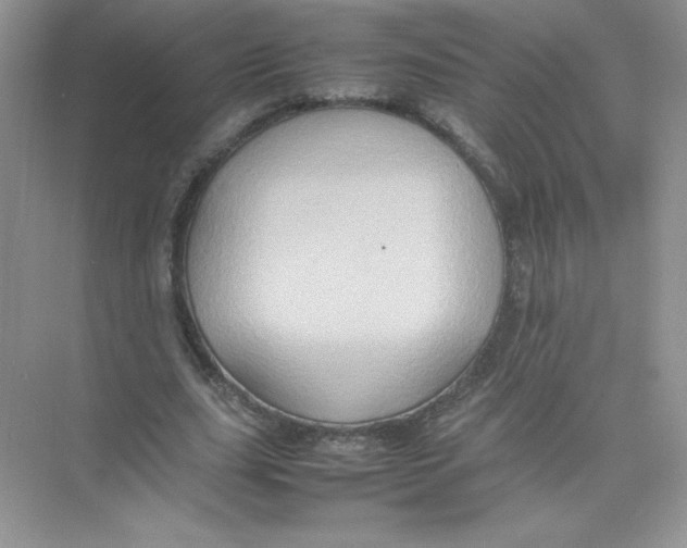 X0000074290631200609222310