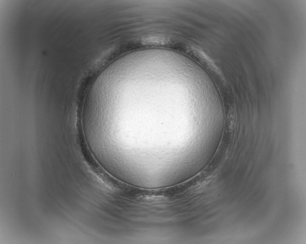 X0000074290637200609222310