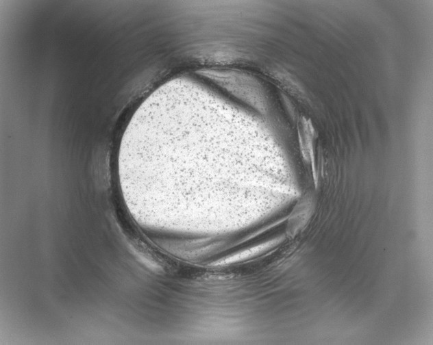 X0000074290638200609222310