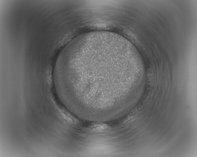 X0000074290642200609222310