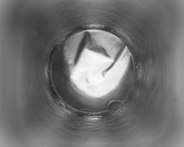 X0000074290643200609222310