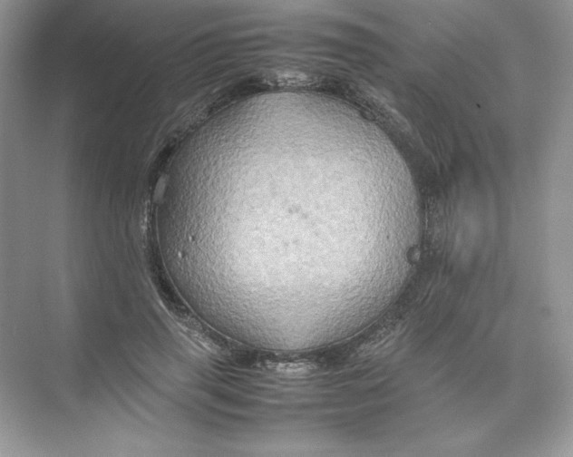 X0000074290645200609222310