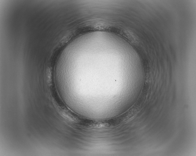 X0000074290646200609222310