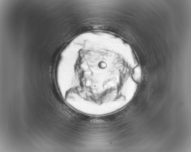 X0000074290650200609222310