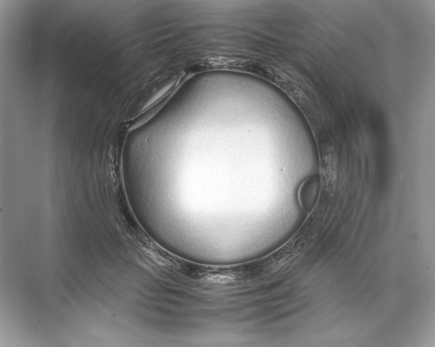 X0000074290653200609222310