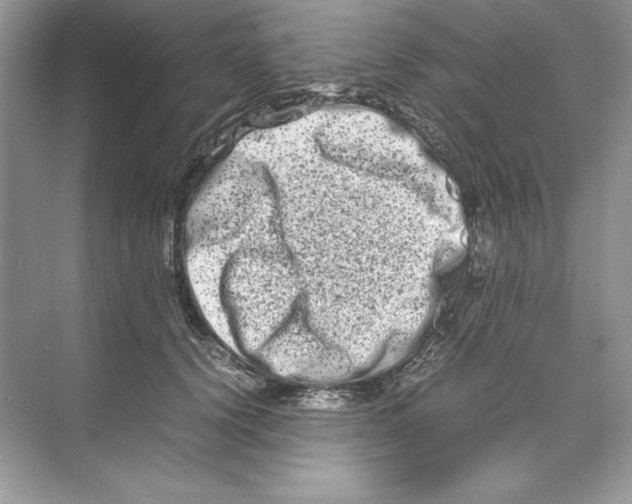 X0000074290656200609222310