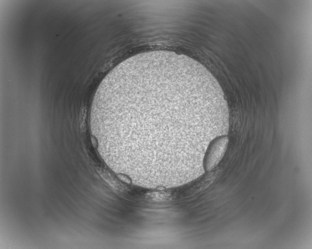 X0000074290660200609222310