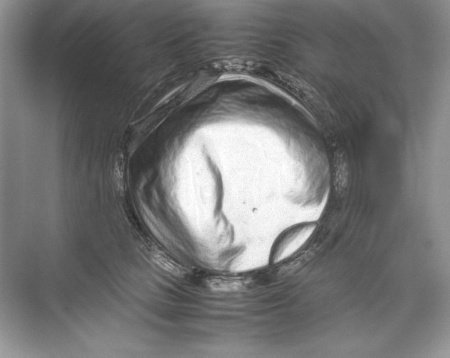 X0000074290661200609222310