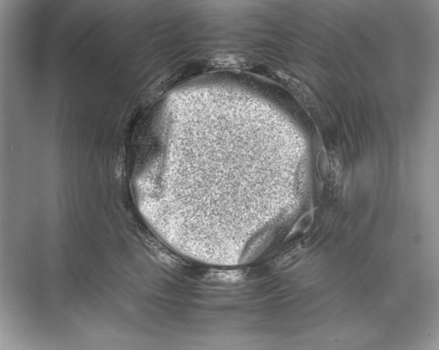 X0000074290665200609222310