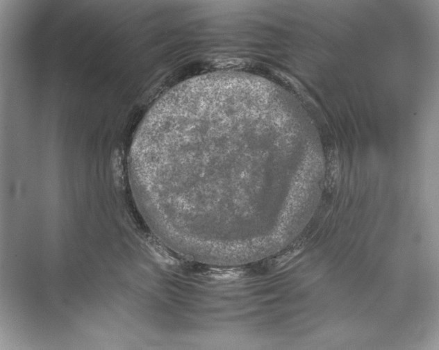 X0000074290667200609222310