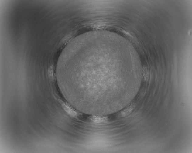 X0000074290670200609222310