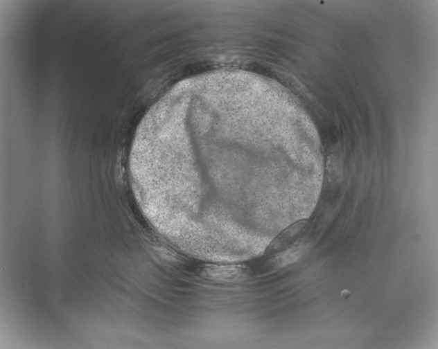 X0000074290671200609222310