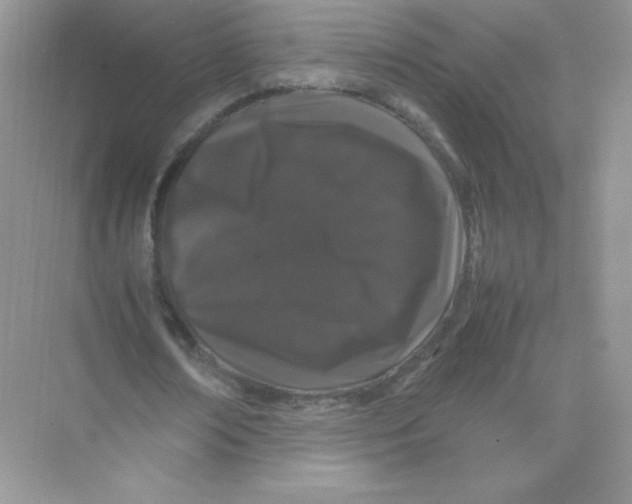 X0000074290674200609222310