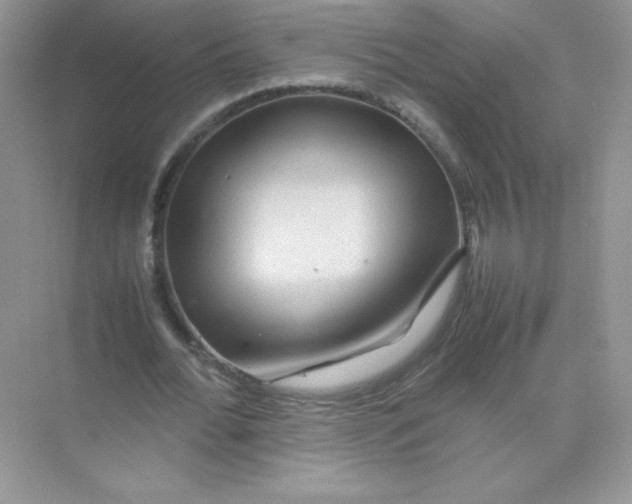 X0000074290676200609222310