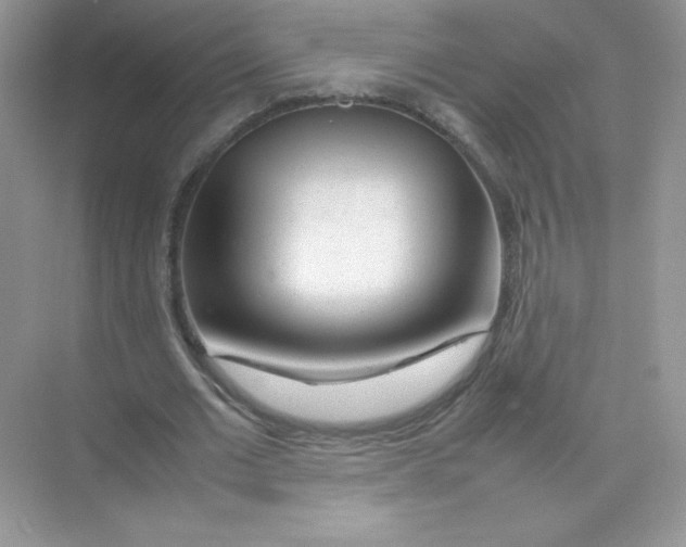 X0000074290677200609222310